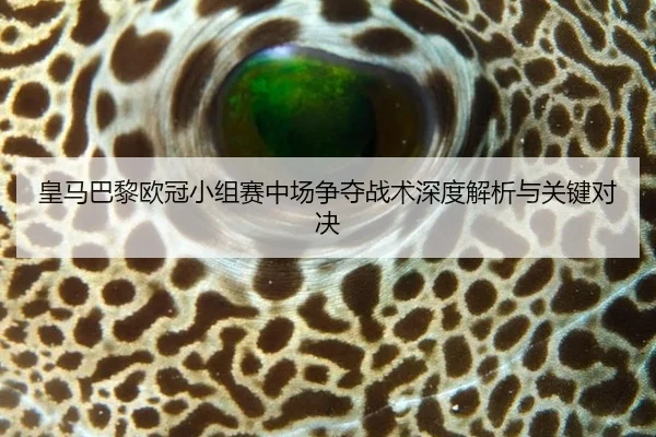 huang-ma-ba-li-ou-guan-xiao-zu-sai-zhong-chang-zheng-duo-zhan-shu-shen-du-jie-xi-yu-guan-jian-dui-jue-3-802.jpg