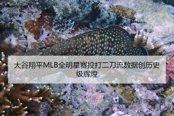 大谷翔平MLB全明星赛投打二刀流数据创历史级辉煌
