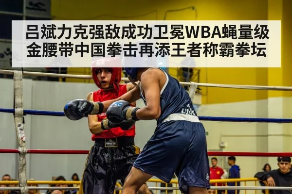 boxing match action