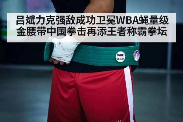 boxing champion belt
