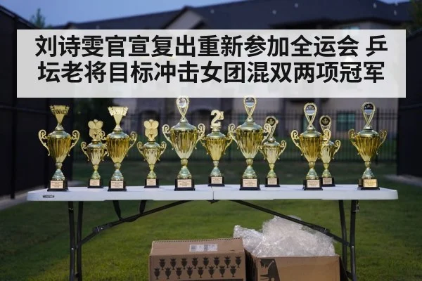刘诗雯官宣复出重新参加全运会 乒坛老将目标冲击女团混双两项冠军